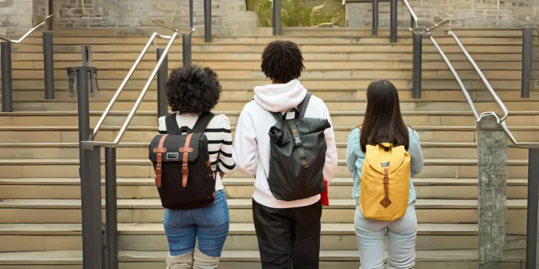 Universities and colleges _20241025_172807_0000